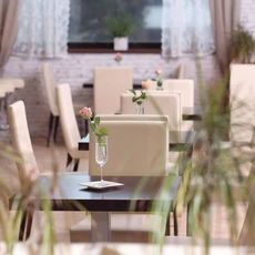 sladky-meda-olomouc-1